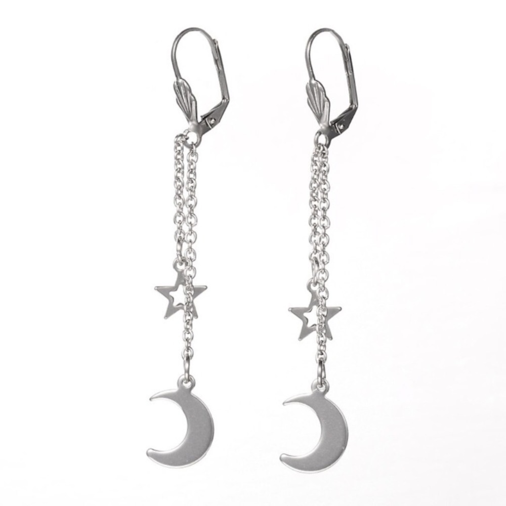 Moon and Star Stainless Steel Dangle Earrings - Picture 1 of 3